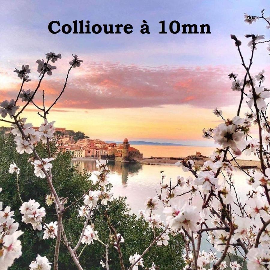 Maison Small Luxury Argelès-sur-Mer Dış mekan fotoğraf
