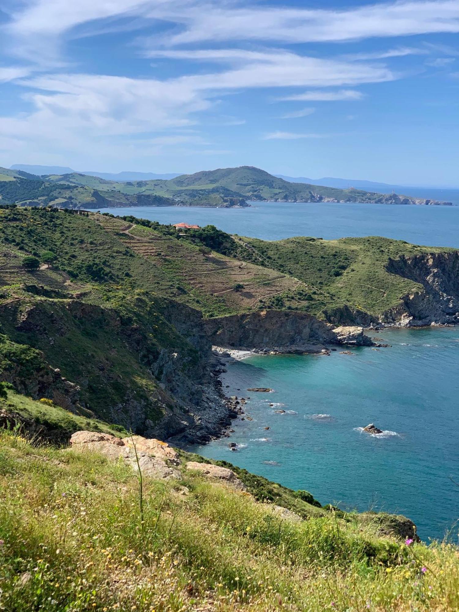 Maison Small Luxury Argelès-sur-Mer Dış mekan fotoğraf